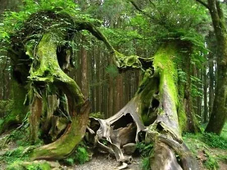 Saint-Thurial L'Atypique Proche Rennes Parc Expo, Broceliande 아파트