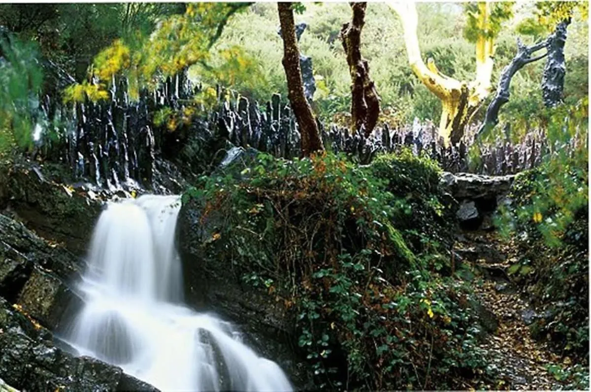 Saint-Thurial L'Atypique Proche Rennes Parc Expo, Broceliande 아파트 프랑스